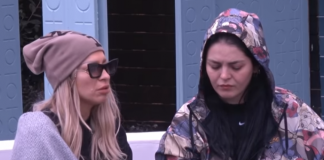 Kriset shoqëria Fifi-Paloma, zbuloni cila është arsyeja