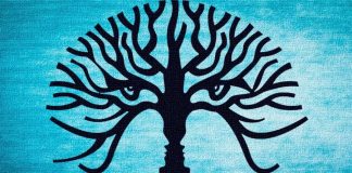 Test/ Ajo që shihni për herë të parë në foto, zbulon gjëra të fshehura për personalitetin tuaj