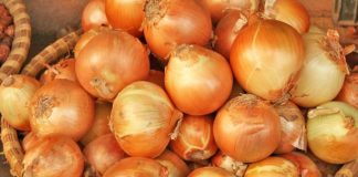 5 ushqime të veçanta që ju ndihmojnë kundër rënies së flokëve