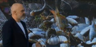 Rama-z. ministrit të Bujqësisë: Brenda vitit të hedhim themelet e markatës së peshkut në Durrës