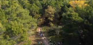 Rama: 30 ditë dhe vazhdon pastrimi në pyllin e Sodës, s’kanë të mbaruar plehrat! I kanë ‘fshehur’ thellë në pyll