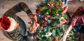Natyrale apo artificiale: Cila pemë e vitit të ri është e duhura