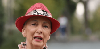 Lufta kundër kancerit të gjirit, gazetarja tregon betejën sapo u bë nënë