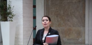 Rreziku nga personat me probleme të shëndetit mendor, Manastirliu: Në qendrat shëndetësore edhe psikologë