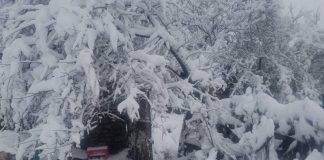 Zbardhet Korça/ Bora arrin në 30 centimentër, akset nacionale janë të kalueshme