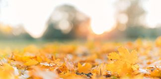 Për herë të tretë, muaji tetor më i ngrohti në histori