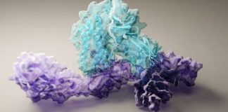 Nuk ka të bëjë me vaksinën/ Kjo është arritja më e madhe shkencore për vitin 2021