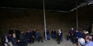 Buxheti i Bujqësisë/ Krifca: 600 milionë lekë shtesë në mbështetje direkte për blegtorët dhe bletarët për vitin 2021