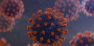 Ministri i Shëndetësisë në Izrael: Të vaksinuarit janë të mbrojtur nga varianti Omicron