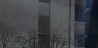 Tërmeti në Pukë, Bashkia: Dëmtime në disa pallate