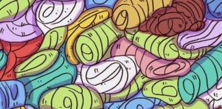 Test vizual: Gjej qenushin e fshehur mes peshqirëve