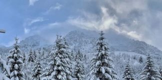 Ngrica dhe acar në të gjithë vendin/ Probleme me energjinë elektrike në disa zona