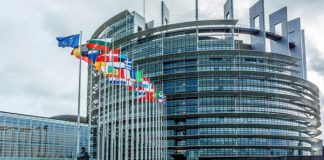 Cili kandidat do të zëvendësojë David Sassiolin?