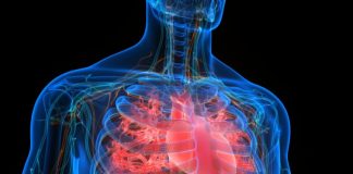 Faktori i ri që rrit rrezikun e sëmundjeve të zemrës