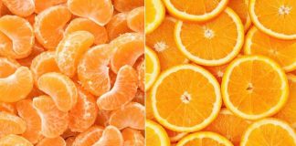 Portokallet apo mandarinat? Ja cilat janë më të mira kundër virozave