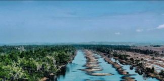 Laguna e Karavastasë në Divjakë, oazi gjithnjë e më i vizituar