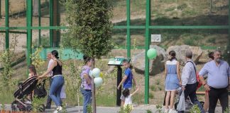 Familjet e Tiranës dynden për ta parë, Kopshti Zoologjik korr sukses që në ditën e parë