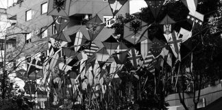 Historia e rrugës së Bogdanëve