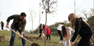Mbillen 360 pemë në Liqenin e Prushit, Veliaj: Do e transformojmë në park lokal