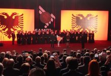 Diaspora siç e paraqesim nuk ekziston