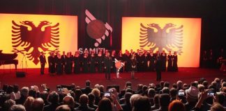 Diaspora siç e paraqesim nuk ekziston