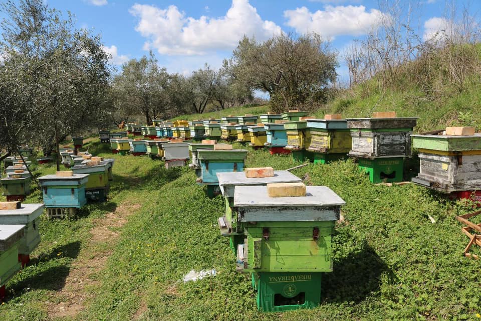 Denaj: Nga 1 janari zero TVSH në import për kafshët për riprodhim, bletët dhe insektet që zëvendësojnë pesticidet