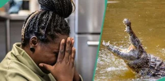 ‘Profeti’ sulmohet për vdekje nga krokodilët teksa kryente pagëzimin me ujin e lumit
