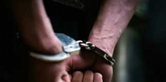 Grabitën 10 mijë euro në vendin e punës/ Çfarë zbuloi Policia e Tiranës në celularët e tyre