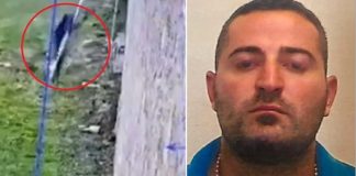 Darka romantike i ‘bëri gropën’, arrestohet bosi i mafias italiane ‘Gargano’! Një vit më parë u arratis nga burgu me çarçafë
