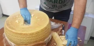 Si filmat me histori kolumbiane/ Drogën e nisnin mes rrotave të kaçkavallit, kush SHQIPTARI truri i bandës kriminale në Itali