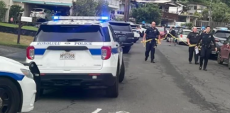 E rëndë në SHBA/ Burri qëllon për vdekje me thikë gruan dhe tre fëmijët, më pas kryen vetëvrasje