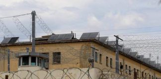 “Të varfrit po mbahen peng”, 330 të dënuar në burgun e Rrogozhinës letër për amnistinë: Personat që dënohen nga GJKKO…
