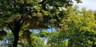 Shqipëria priti mbi 11 milionë turistë/ INSTAT: Në krahasim me një vit më parë janë rritur me 6.7%