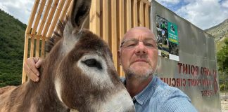 Kur paratë harxhohen veç për gomerët