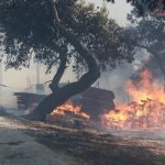 1723395344_454347167157292308997555241732