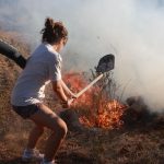 1723395344_a32ee3121723394854425355608872