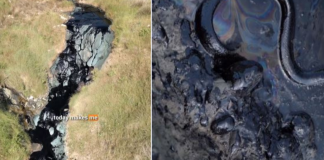 Nafta në Vjosë/ REAGON kompania ALBPETROL