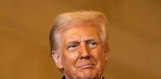 A do ta përfundojë tani Trump edhe luftën në Gaza? Zbulohet plani me 5 pika për Izraelin dhe palestinezët