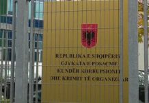 E FUNDIT/ “Më jepni telefonin”, GJKKO rrëzon kërkesën e drejtoreshës së lartë në Policinë e SHTETIT! Bashkëjetuese e shoqëruesit të Ergys Agasit