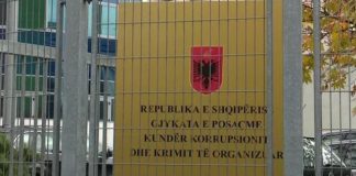 E FUNDIT/ “Më jepni telefonin”, GJKKO rrëzon kërkesën e drejtoreshës së lartë në Policinë e SHTETIT! Bashkëjetuese e shoqëruesit të Ergys Agasit