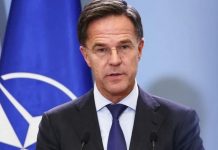 Rutte uron për Ditën e Pavarësisë: Ukraina meriton paqe së shpejti, NATO është me ju