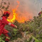 Dy zjarre në vend, Mbrojtja: Nën kontroll zjarri në pyllin e Akërnisë në Vlorë, operohet dhe me një helikopter! Aktive edhe vatra në Bogovë të Skraparit
