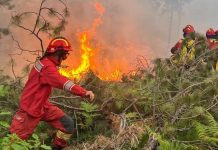 Dy zjarre në vend, Mbrojtja: Nën kontroll zjarri në pyllin e Akërnisë në Vlorë, operohet dhe me një helikopter! Aktive edhe vatra në Bogovë të Skraparit