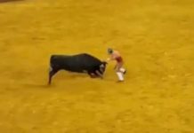 Tragjedi në Lisbonë, 22-vjeçari goditet për vdekje nga demi