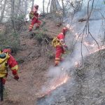 Ministria e Mbrojtjes: 12 vatra zjarri në total, 4 janë aktive