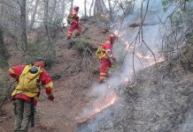 Ministria e Mbrojtjes: 12 vatra zjarri në total, 4 janë aktive