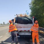 Ministrja Balluku: Gjoba ndotësve në akset kombëtare, do përdoren kamerat