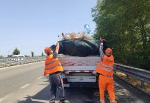 Ministrja Balluku: Gjoba ndotësve në akset kombëtare, do përdoren kamerat