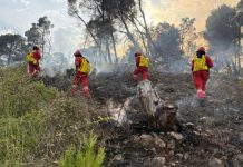 Situata me zjarret/ Mbetet aktive vatra në pyllin e Poros, vijon ndërhyrja nga ajri për neutralizimin