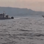 U hodhën nga varka në det, zhduken 12 emigrantë në Spanjë